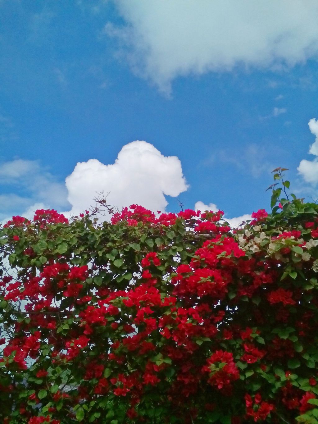 How it all&nbsp;started