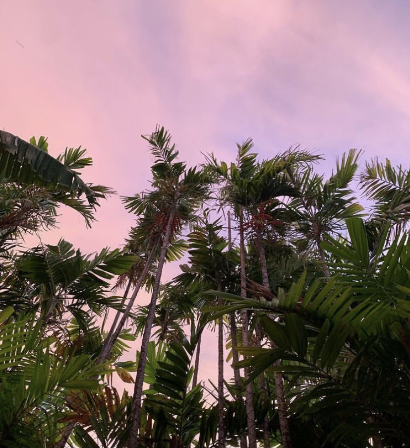 53 things I am grateful&nbsp;for