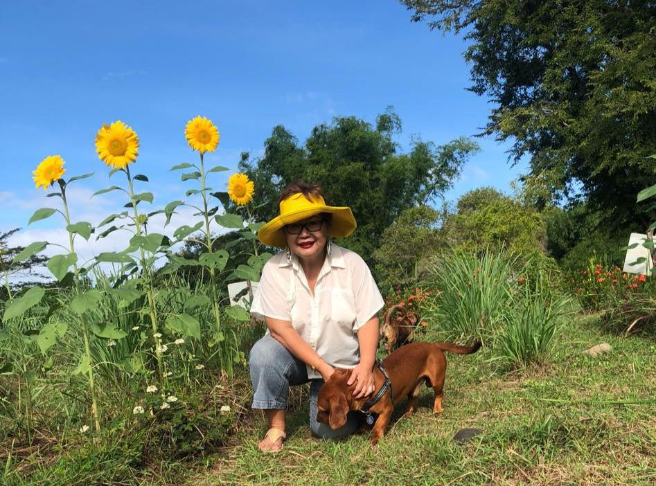 How I reinvented myself as a&nbsp;farmer